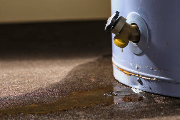 Best Fire Damage Restoration  in Woodlawn, MD