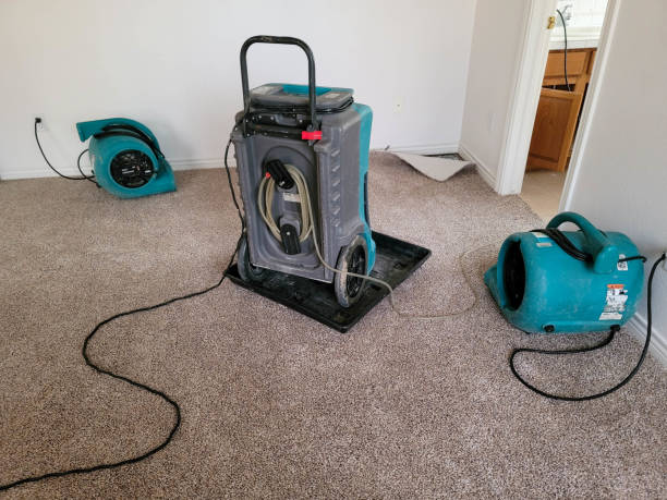Best Water damage restoration specialists  in Woodlawn, MD