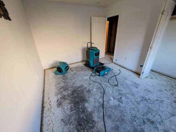 Professional Water damage restoration in Woodlawn, MD