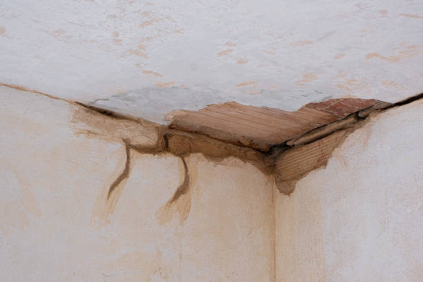 Best Flood damage cleanup  in Woodlawn, MD