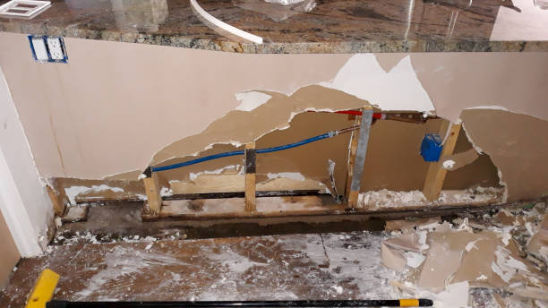 Best Mold removal after water damage  in Woodlawn, MD