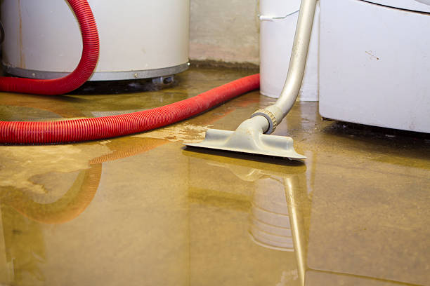 Best 24-hour water damage restoration  in Woodlawn, MD