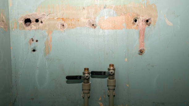 Best Residential water damage restoration  in Woodlawn, MD