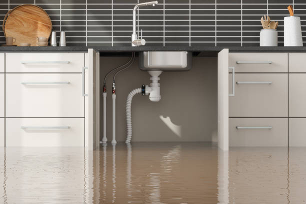 Best Water damage contractors near me  in Woodlawn, MD
