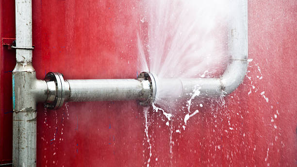 Best Water damage restoration services  in Woodlawn, MD